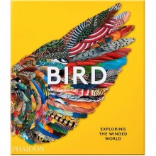 Bird: Exploring the Winged World