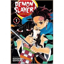 Demon Slayer: Kimetsu no Yaiba Vol. 01