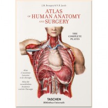 Bourgery. Atlas of Human Anatomy and Surgery