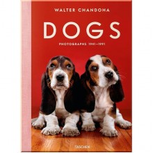 Walter Chandoha. Dogs. Photographs 1941–1991