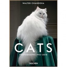 Walter Chandoha. Cats. Photographs 1942–2018