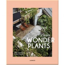 Ultimate Wonder Plants: Your Urban Jungle Interior
