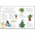 My House Plant Changed My Life