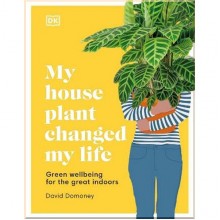 My House Plant Changed My Life