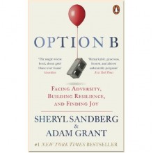 Option B
