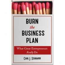 Burn The Business Plan