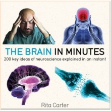 The Brain in Minutes