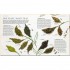 DK The Tea Book