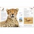 DK Wildlife of the World