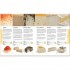 DK World Cheese Book