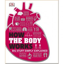 DK How the Body Works