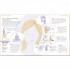 DK Practical Mindfulness