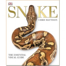 DK Snake