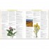DK Encyclopedia Of Herbal Medicine