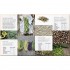 DK Plant-Based Cookbook
