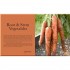 DK Grow Vegetables