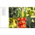 DK Grow Vegetables
