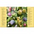 DK Grow Fruit