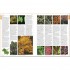 DK RHS A-Z Encyclopedia of Garden Plants 4th edition