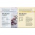 DK Fermenting Foods Step-by-Step