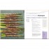DK Autoimmune Cookbook