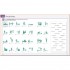 DK English for Everyone Practice Book Level 2 Beginner