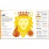 DK Astrology
