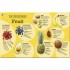 DK Superfood Breakfasts