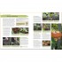 DK RHS Fruit and Veg Box