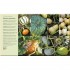 DK RHS Fruit and Veg Box