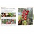 DK RHS Fruit and Veg Box