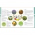 DK Neal's Yard Remedies Essential Oils