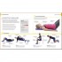 DK Foam Roller Exercises