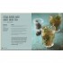 DK Mocktails, Punches and Shrubs