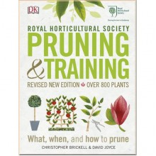 DK RHS Pruning and Training