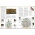 DK RHS Pruning and Training