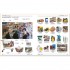 DK French-English Bilingual Visual Dictionary