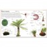 DK Pocket Visual Dictionary