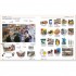 DK German-English Bilingual Visual Dictionary