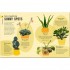 DK How Not to Kill Your Houseplant