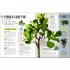 DK How Not to Kill Your Houseplant