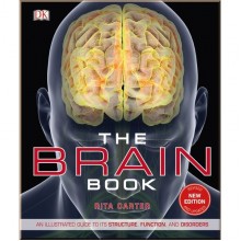 DK The Brain Book