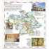DK Eyewitness Rome Pocket Map and Guide