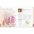 DK The Day-by-Day Pregnancy Book