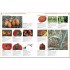 DK RHS Pests and Diseases