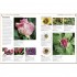 DK RHS Pests and Diseases