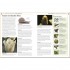DK RHS Pests and Diseases