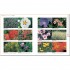 DK RHS Gardening Through the Year