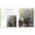 DK RHS Practical House Plant Book