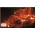 DK Astronomy
